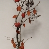 assemblage : pommes et feuilles en céramique (lycée de Moûtiers)