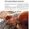 Mosaïque Magazine n°1 - janvier 2011
