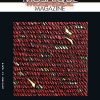 Couverture de Mosaïque Magazine n°5 - janvier 2013